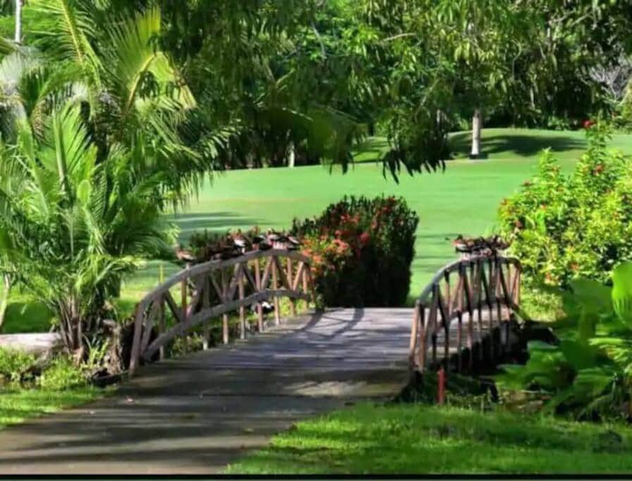 Bridge in the golf course