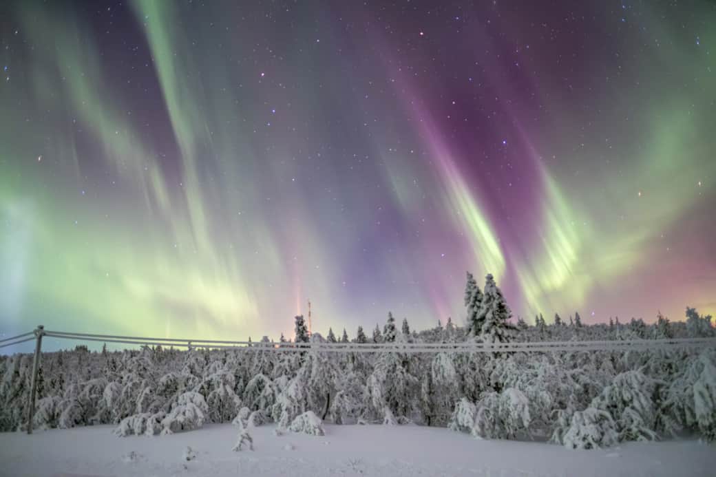 Leave it all - winter 26-16