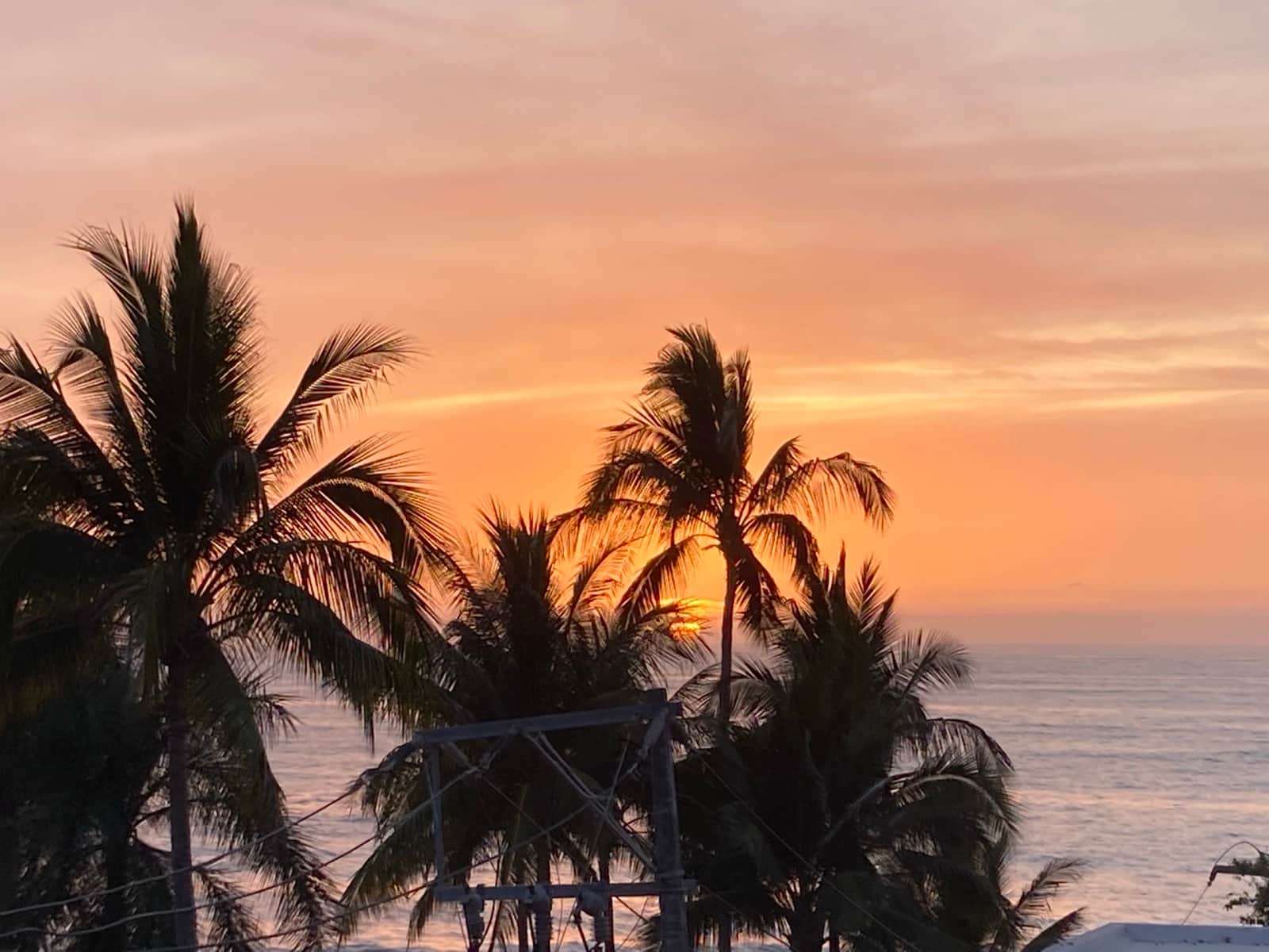 Orange sunset over the Pacific Ocean with palm tree silhouettes in San Pancho, Nayarit