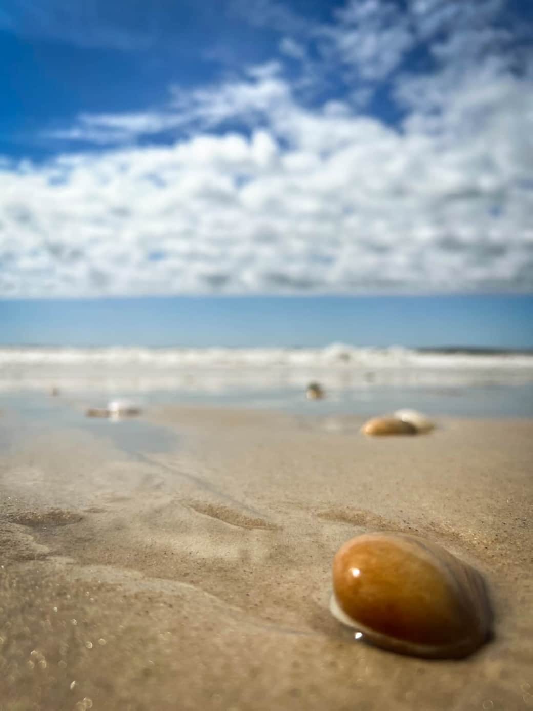 The Beach