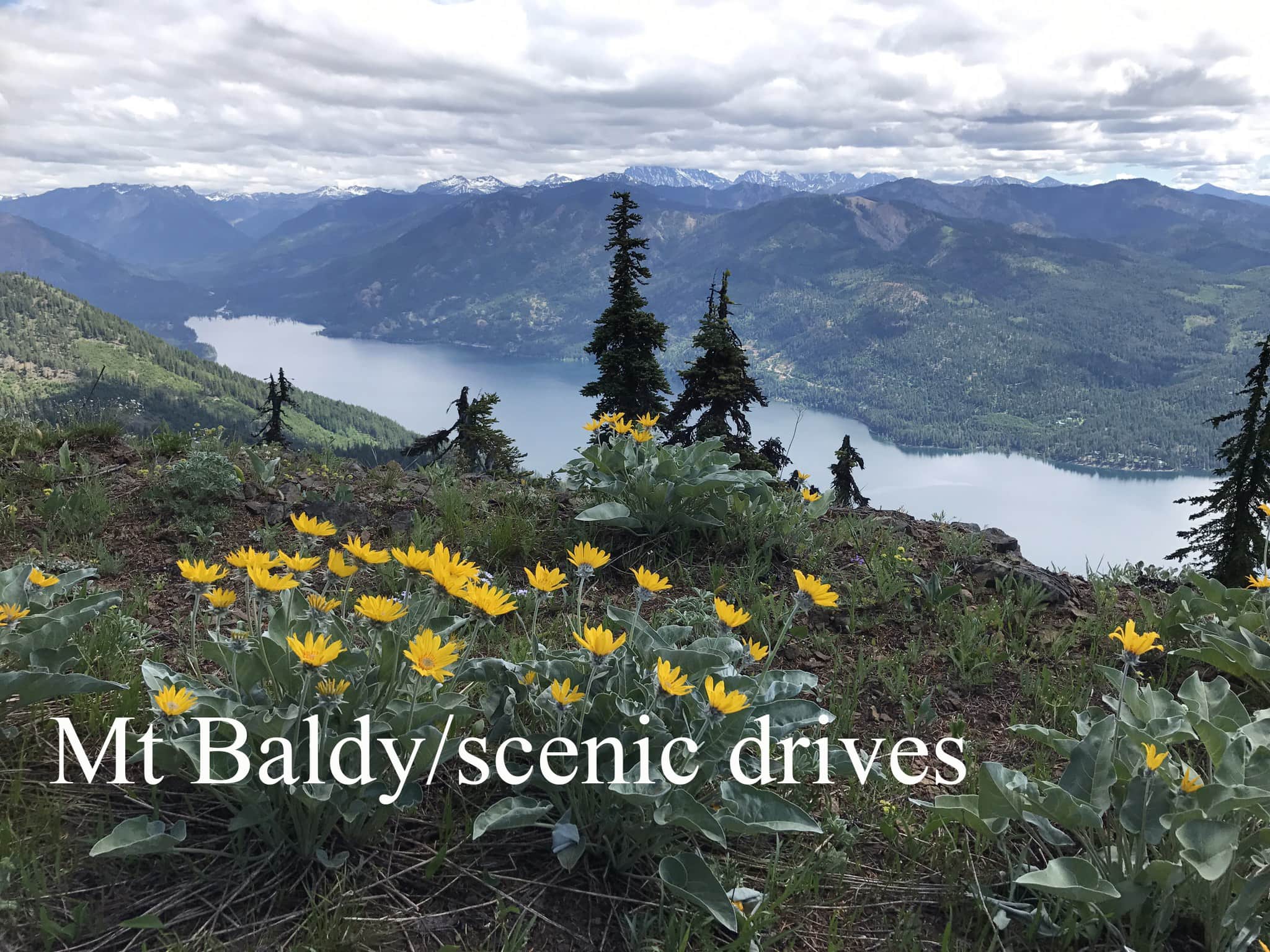 Mount Baldy scenic drives