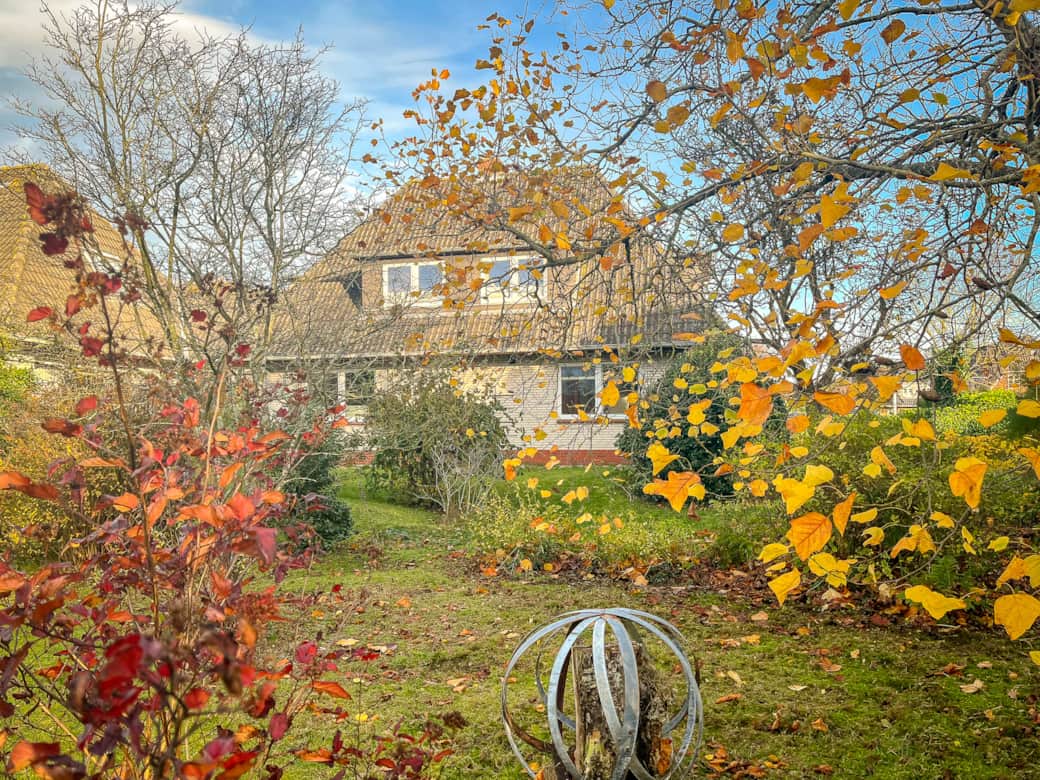 IMG 8679 3 IMG 8679 3