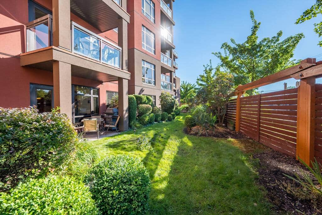 Patio and Lawn