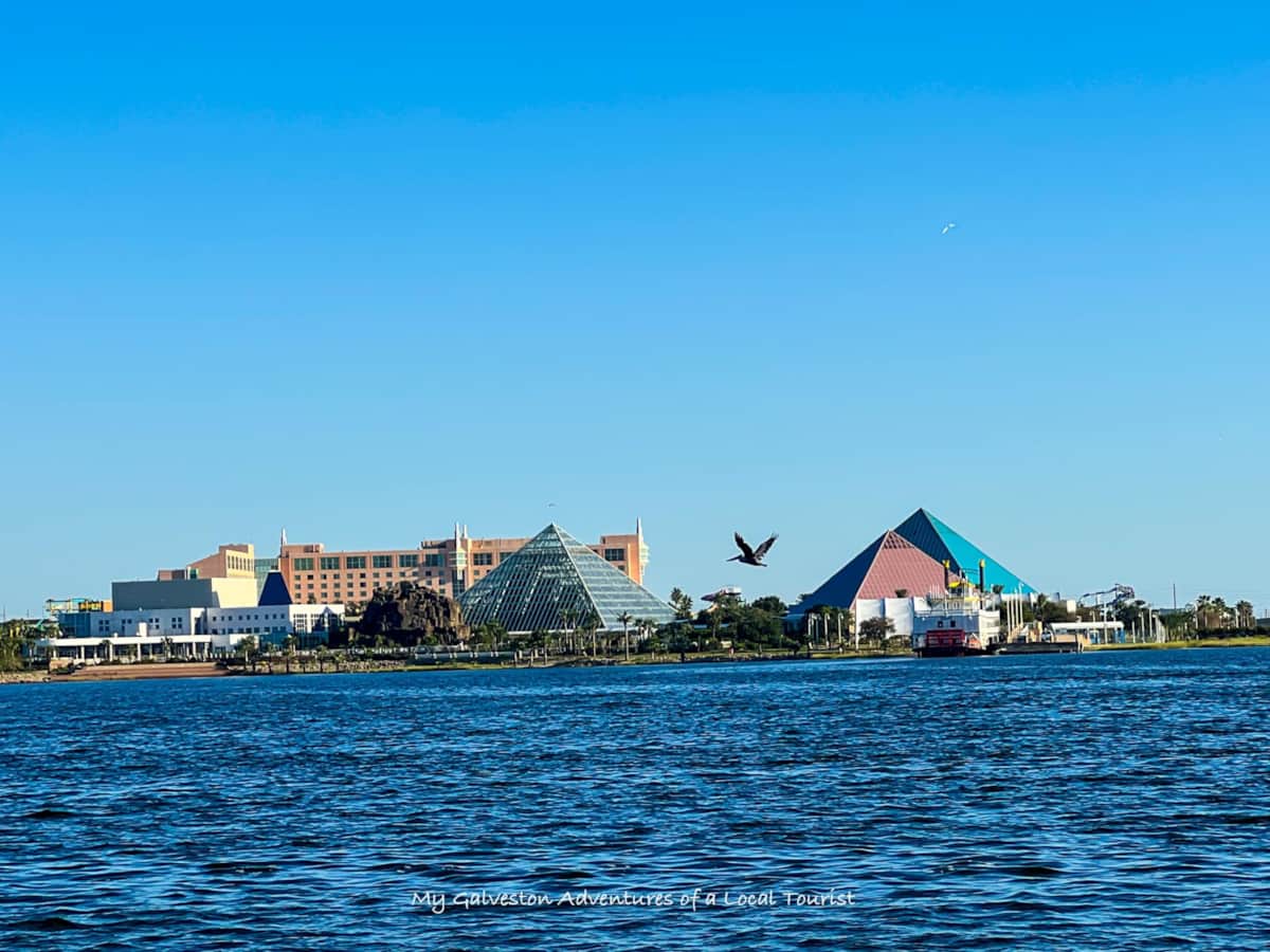 Moody Gardens provides a full day of entertainment in Galveston.
