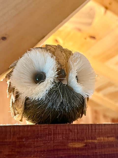Owl decor