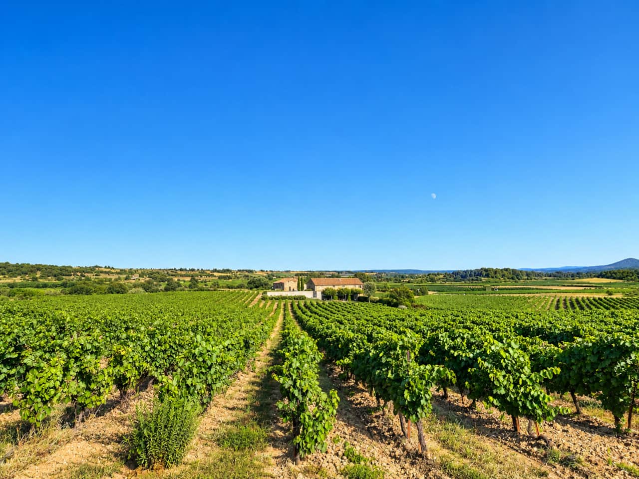 Domaine de Mengaud, gezien vanuit de omliggende wijnvelden