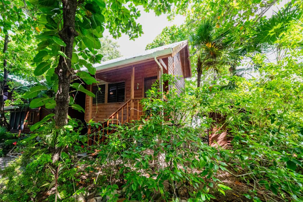 Hottest Sparrow-building