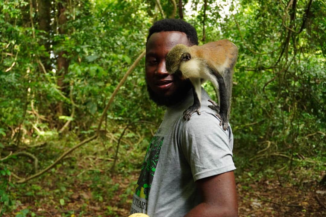 Monkey Sanctuary.jpg