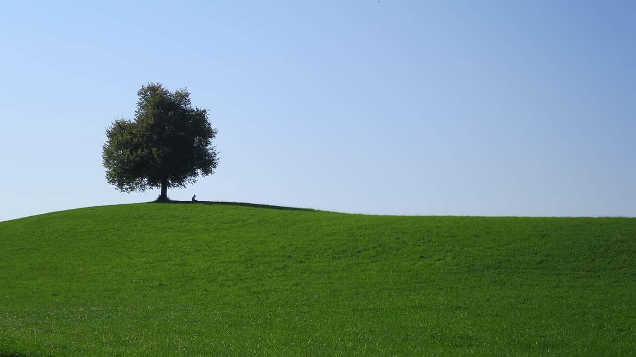 https://l.icdbcdn.com/oh/ed4271e3-f3b6-4fa3-895c-f68d9495fd0b.jpg?w=2080-1