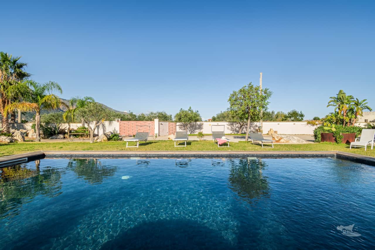 Palm trees and lush greenery line the pool’s edge, dotted with comfortable sun loungers.