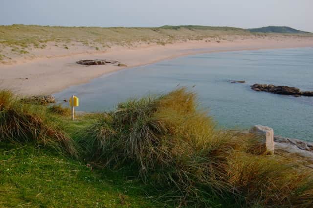 The Wee House