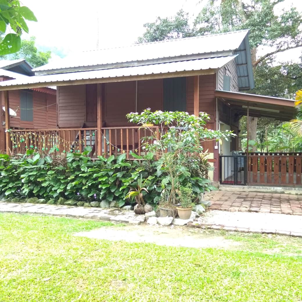 Front of the house-3 Front of the house-3