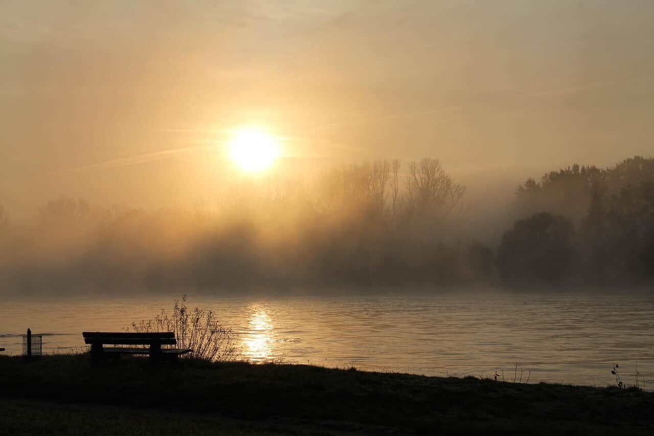 Rhein bei Worms im Morgennebel mit aufgehender Sonne und Bank am Ufer.