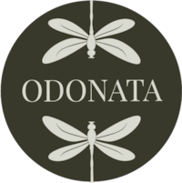 Odonata