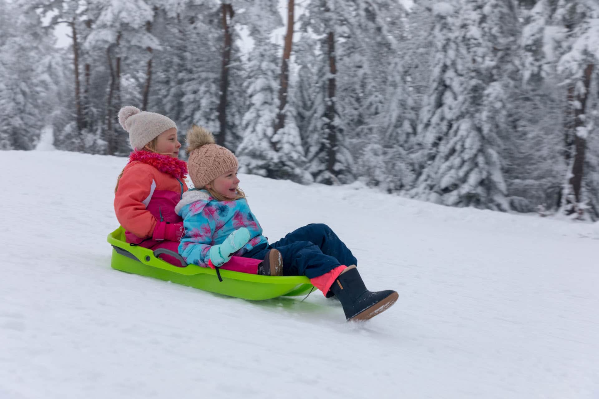 Enfants en luge dans les champs enneigés au pied du Chalet Mont Milo, Serre Chevalier Vallée