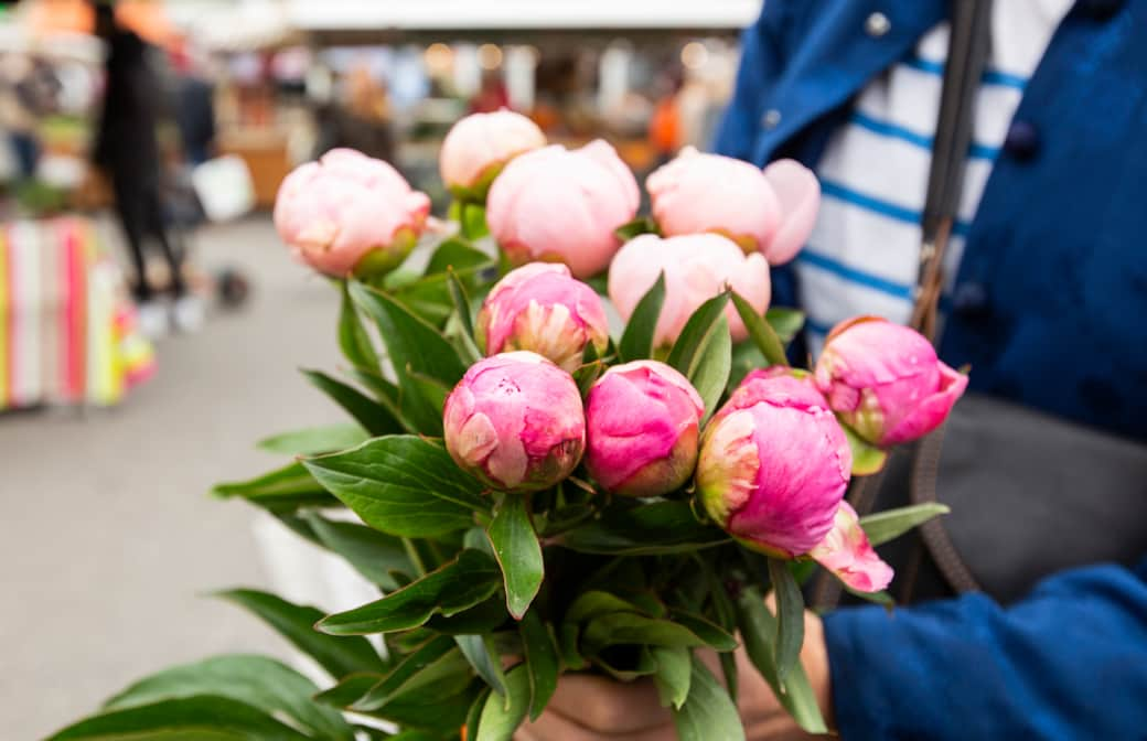 Local flowers