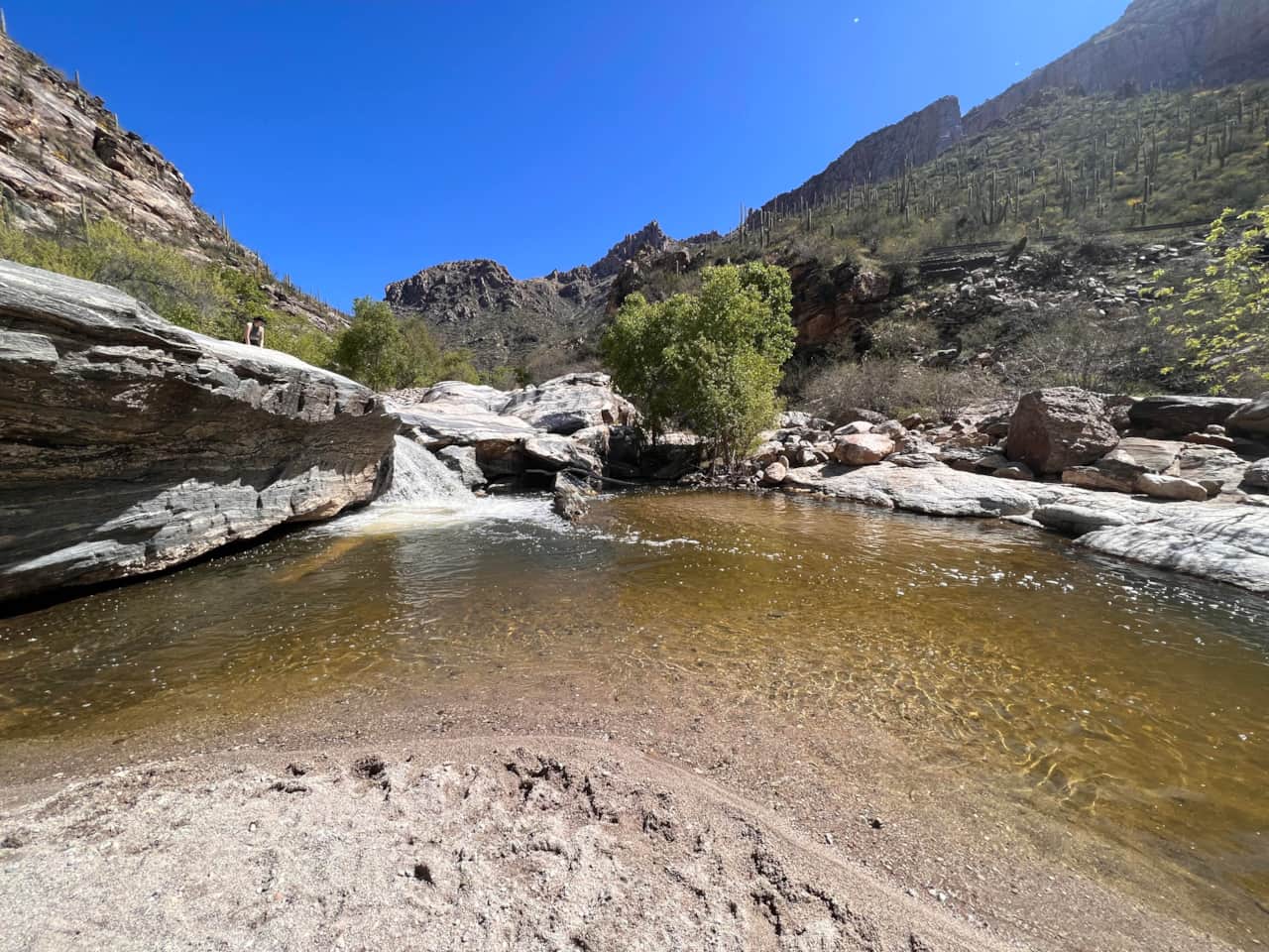 Sabino Canyon