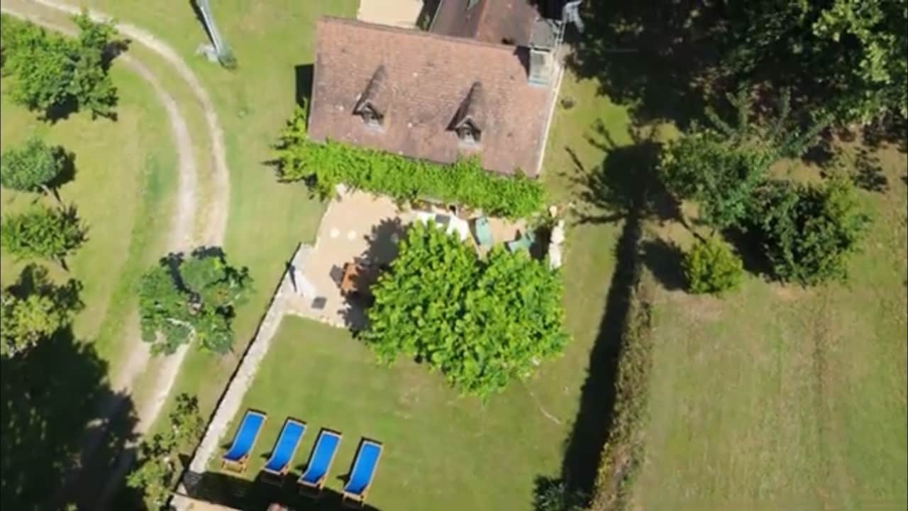 Vine From Above