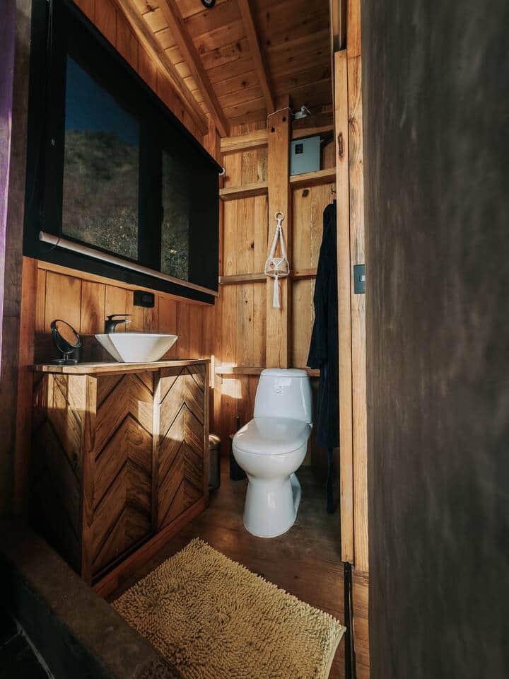 Bathroom with flushing toilet Bathroom with flushing toilet