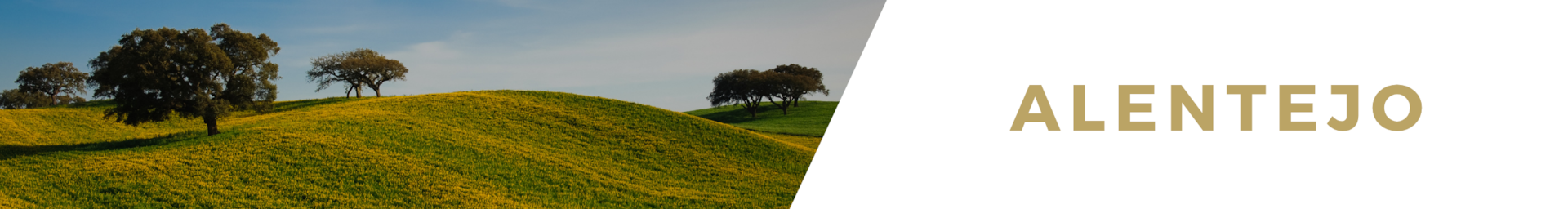Alentejo luxury villa rentals