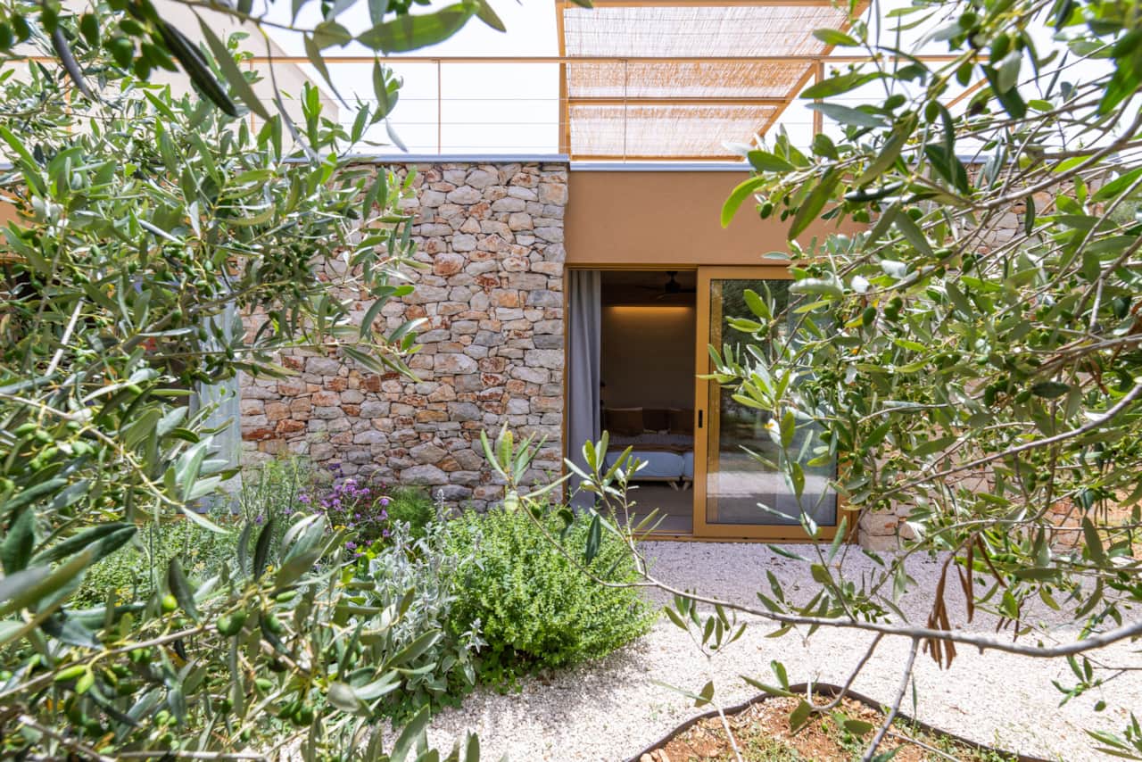 Beautiful dry stone walling and Mediterranean planting