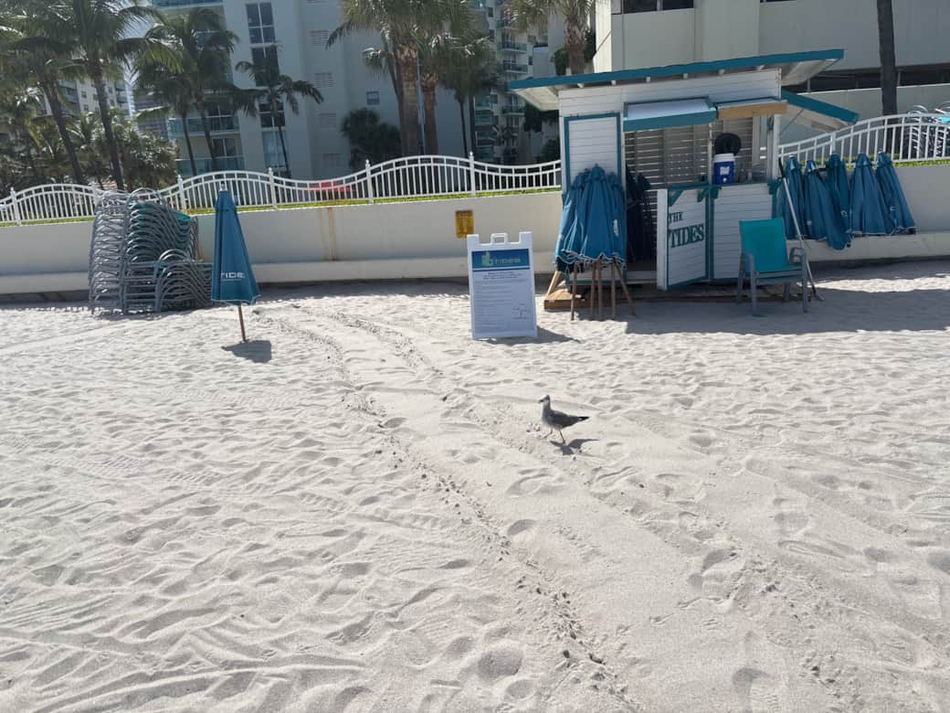 Image picker 2F11EB2D 8DE5 4547 A142 0B062CA8EB1E 9874 0000027E1D65E75A