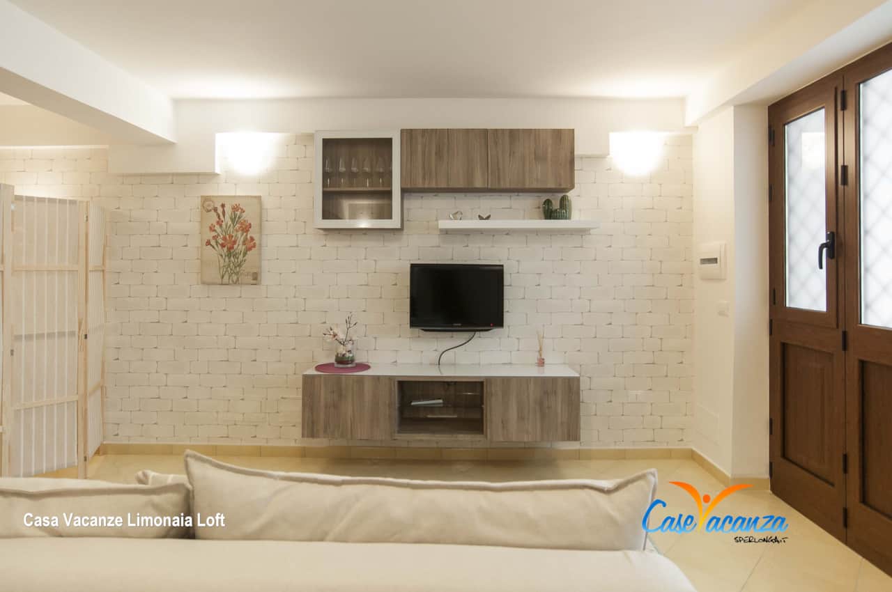 ZONA TV