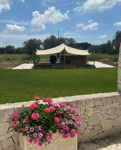 Wellness Zone from the pool