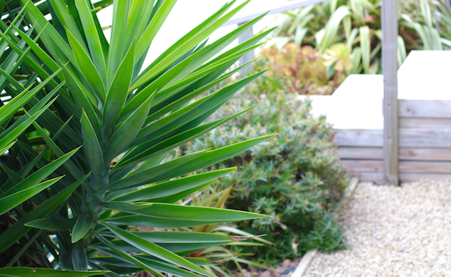 Robe, South Australia