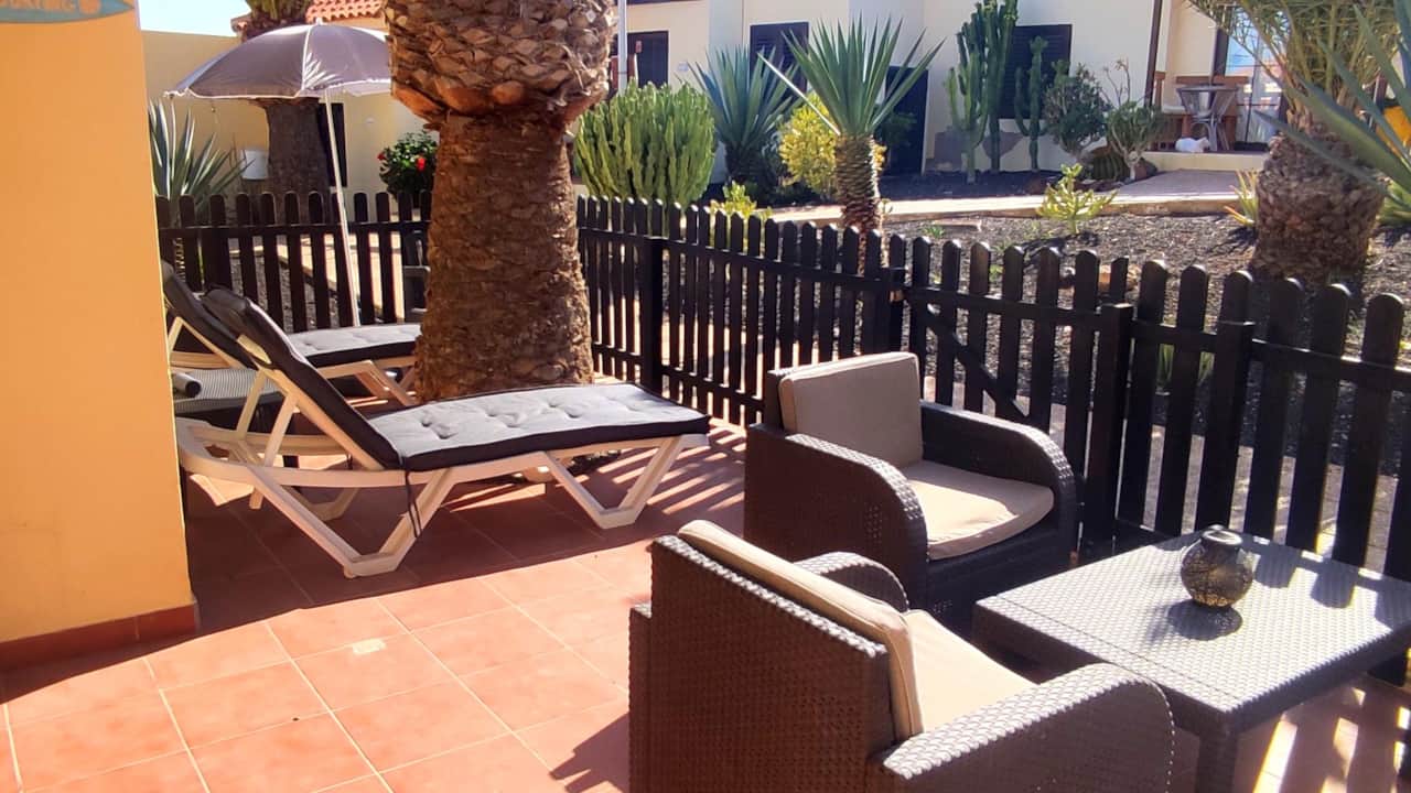 Relax under the sun on your private terrace with palm view