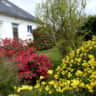 Rental image