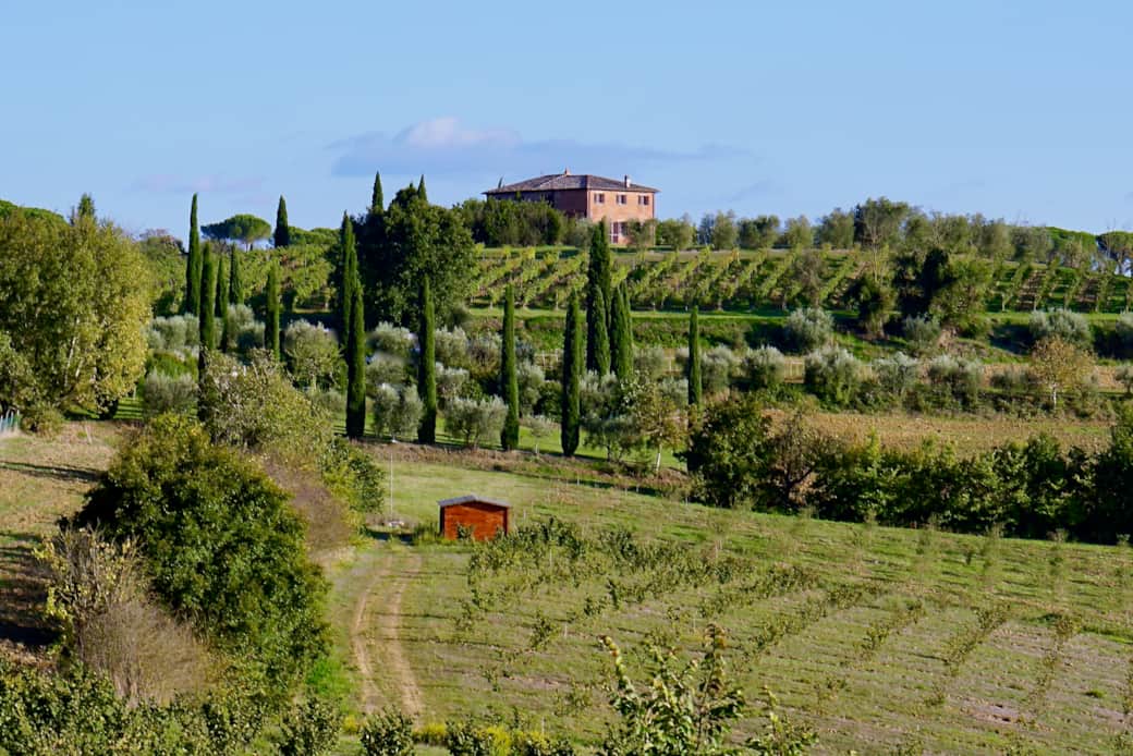 La Vigna di Carlotta
