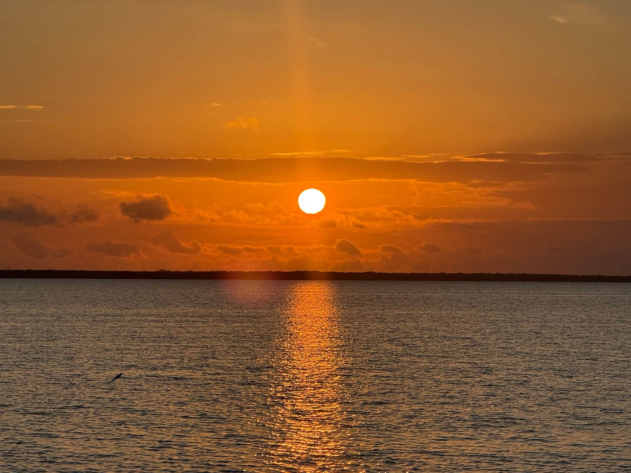 https://l.icdbcdn.com/oh/efc5083f-4923-4e3f-8831-c9d4c2e217bb.jpg?w=2080-3