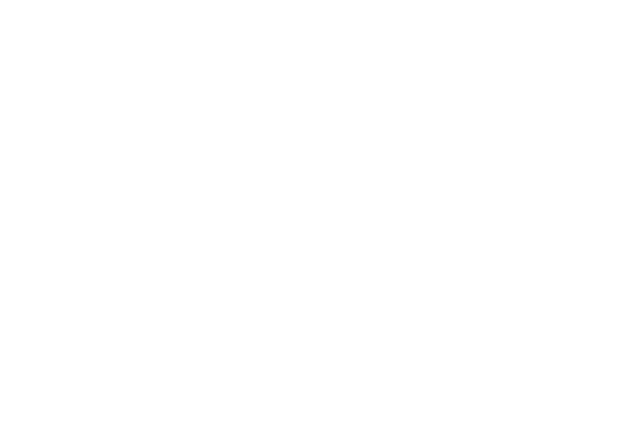 Southern Collective