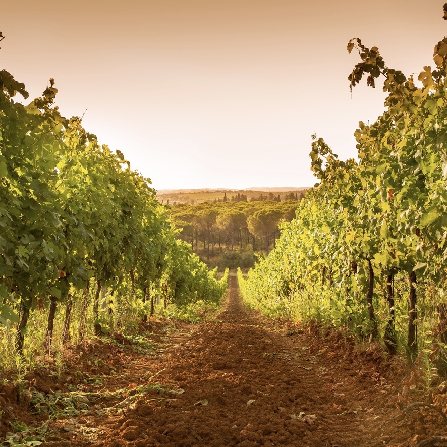 Morisfarms Winery