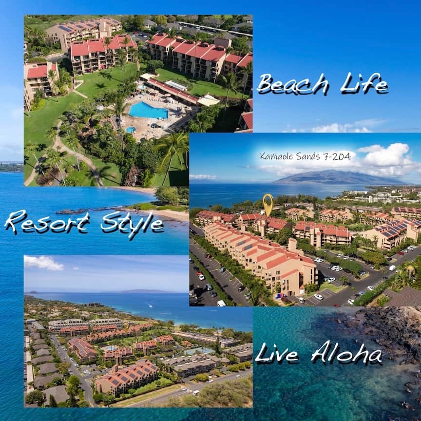 1 - Cover Shot 7-204