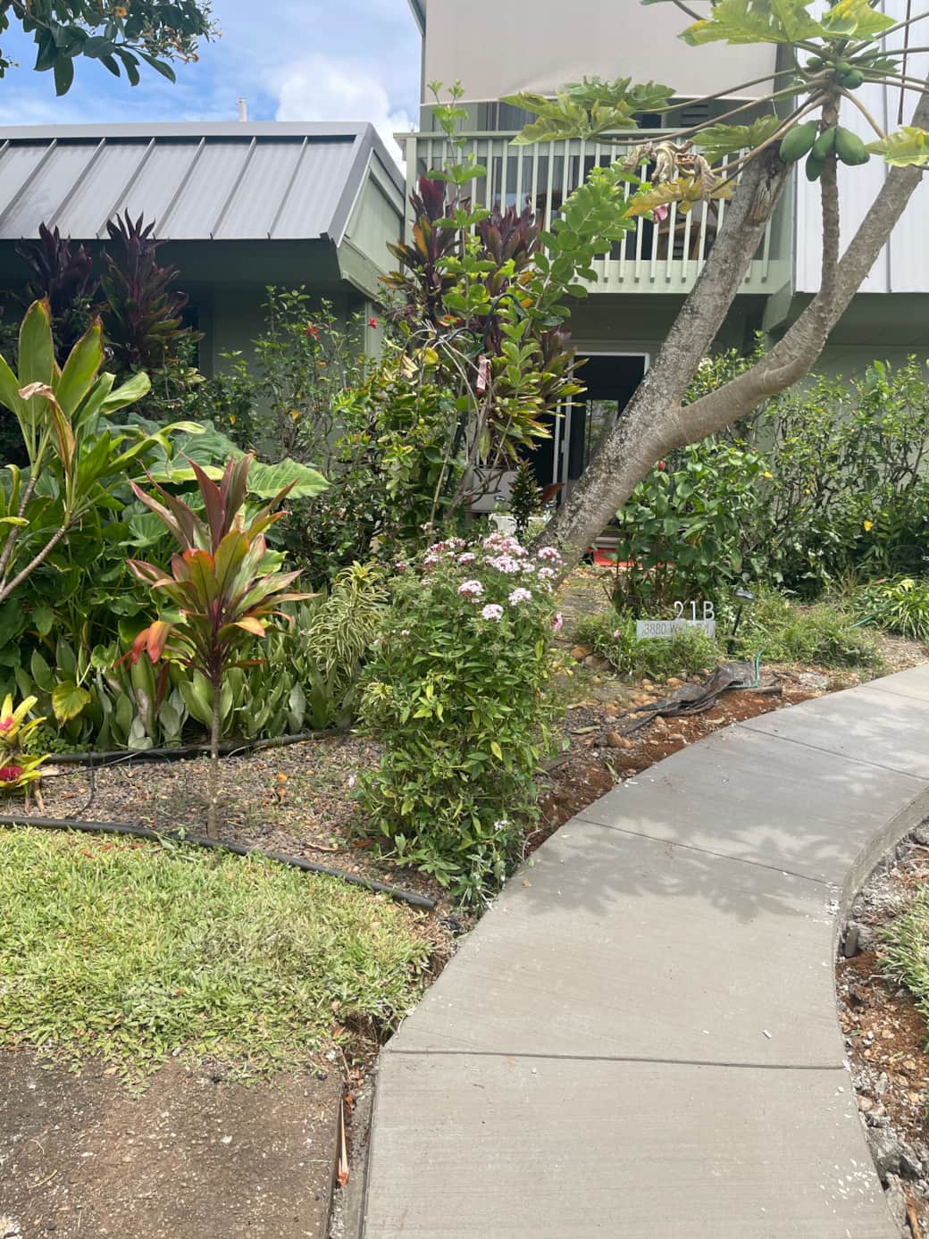 Front Yard