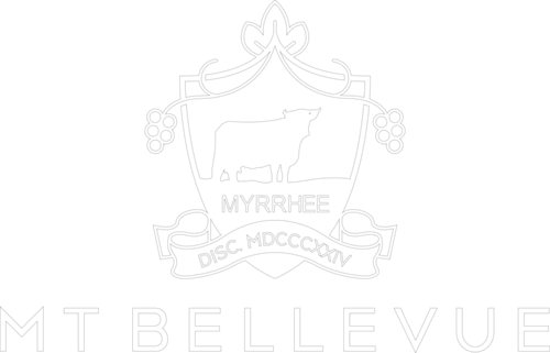 Mt Bellevue