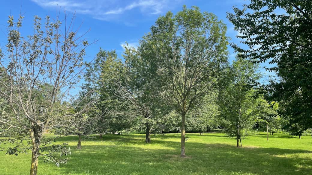 Parco dei Giganti