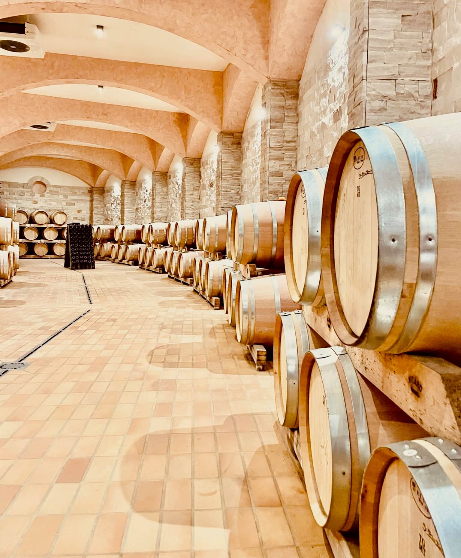 Esplora e Gusta la Toscana - Agriturismo CasaViVa