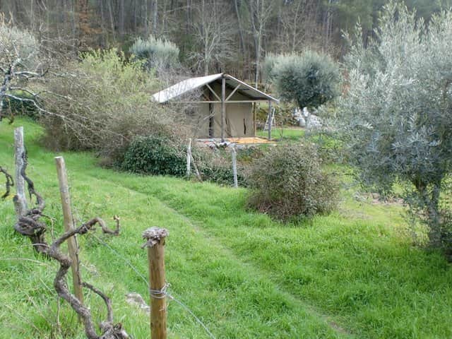 Tent 1 Azië met gras