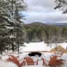 Rental image