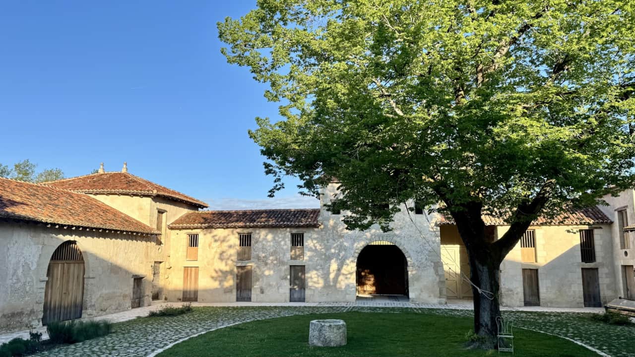 La cour_2