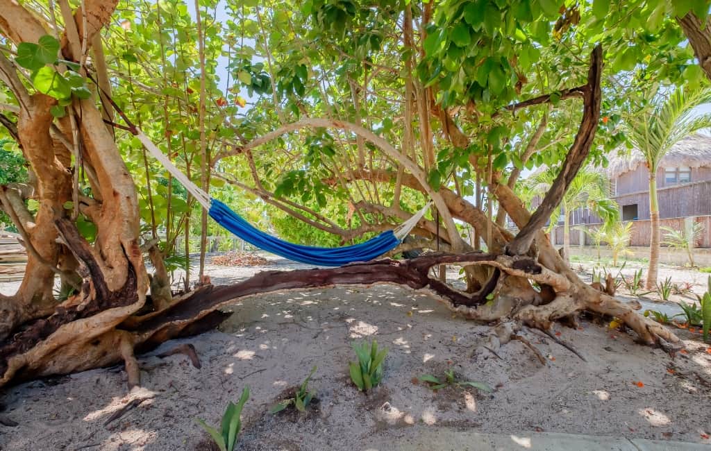 Hammock - Grounds - 1