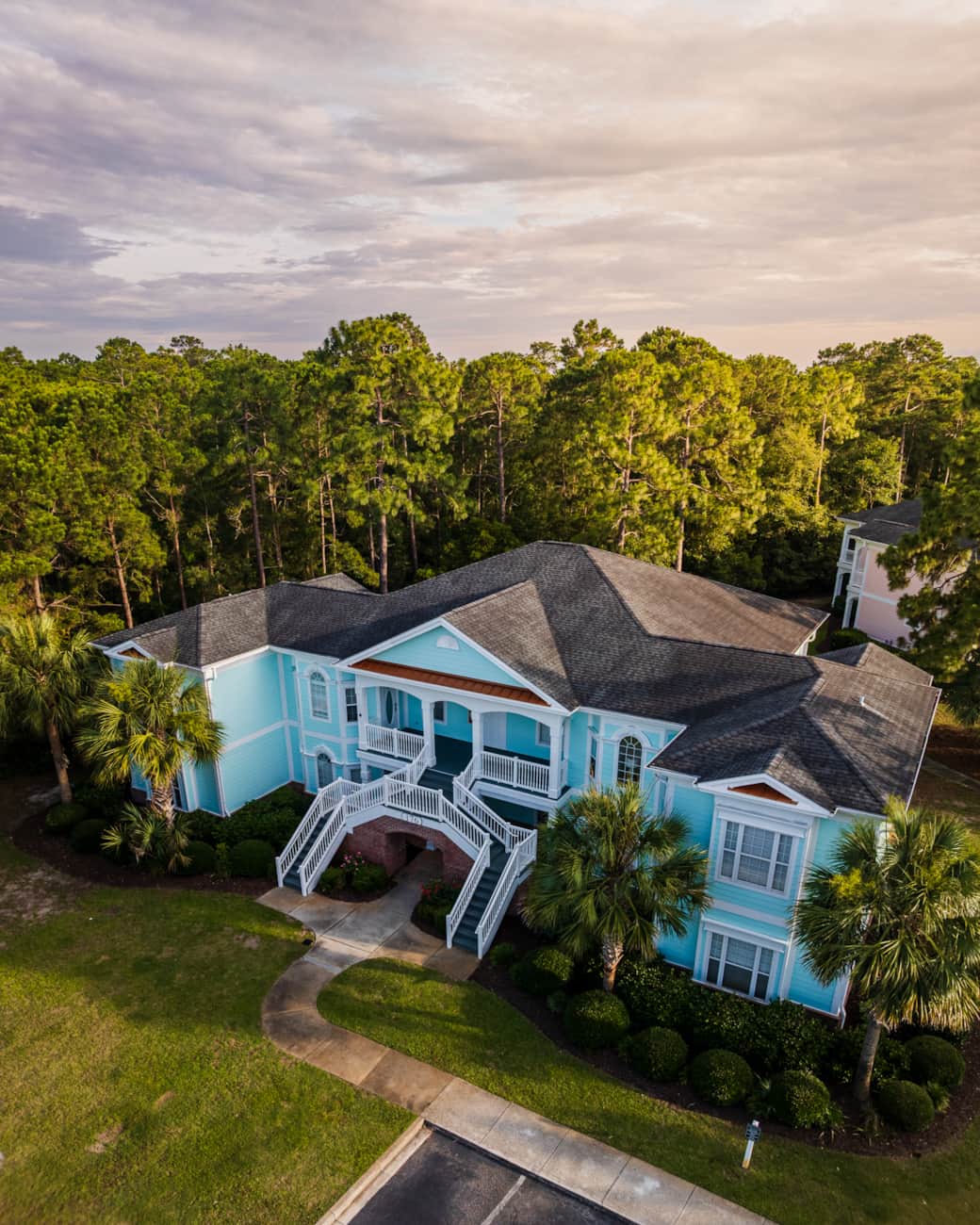 Oh Whale New Paint!! Oh Whale New Paint!!