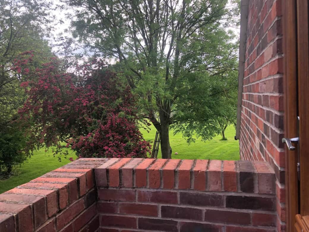 View from the top of the Annex steps provides a sneak peak of the very large garden guests are welcome to enjoy. View from the top of the Annex steps provides a sneak peak of the very large garden guests are welcome to enjoy.