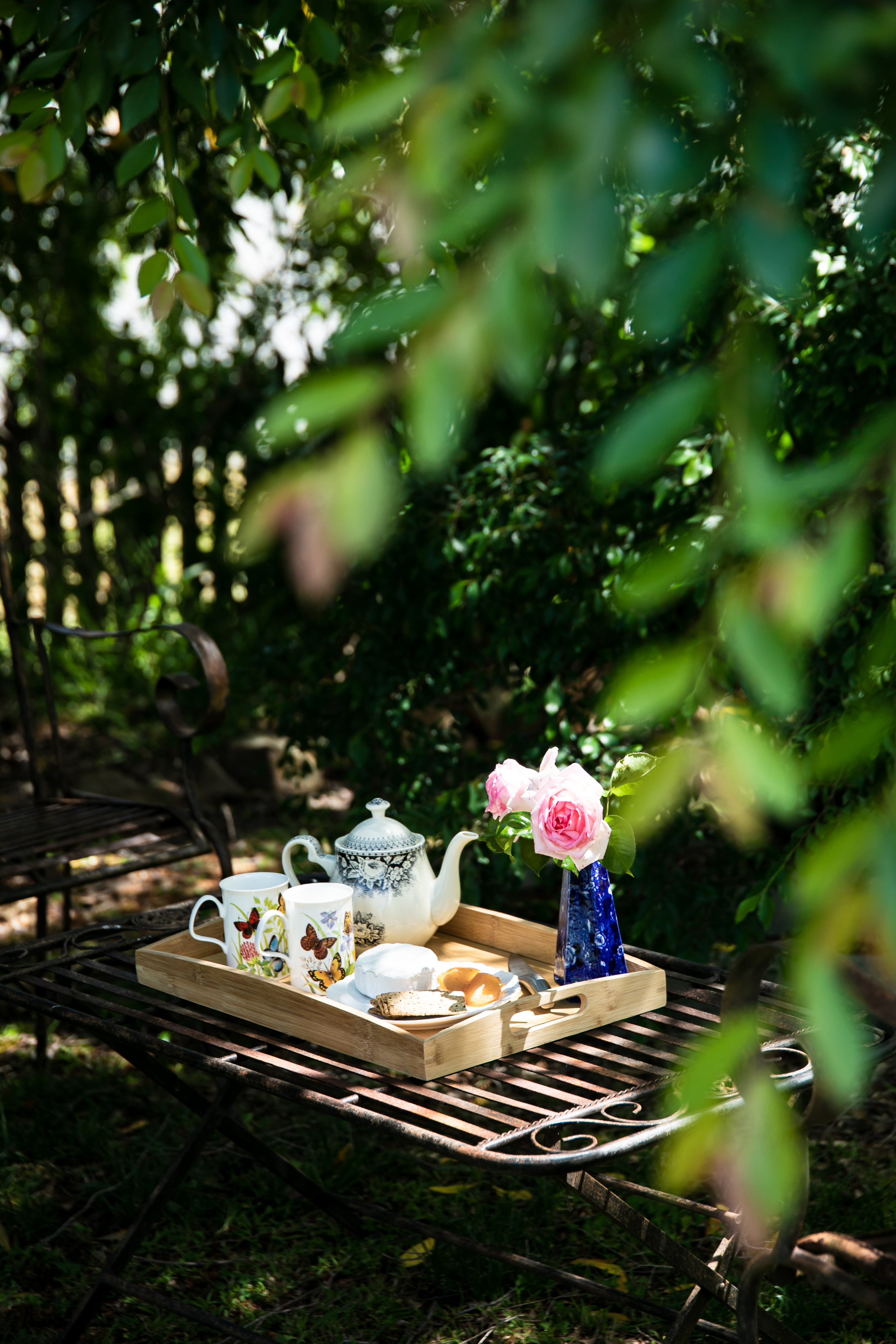 FCAE7475 AB90 4D7D BBF9 3DF6625DA6D4