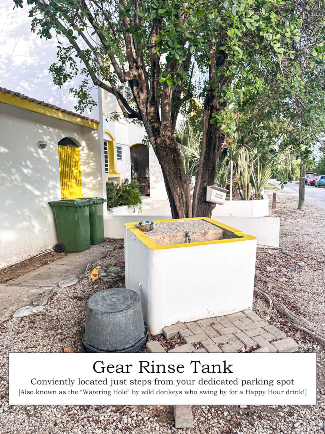 Rinse Tank