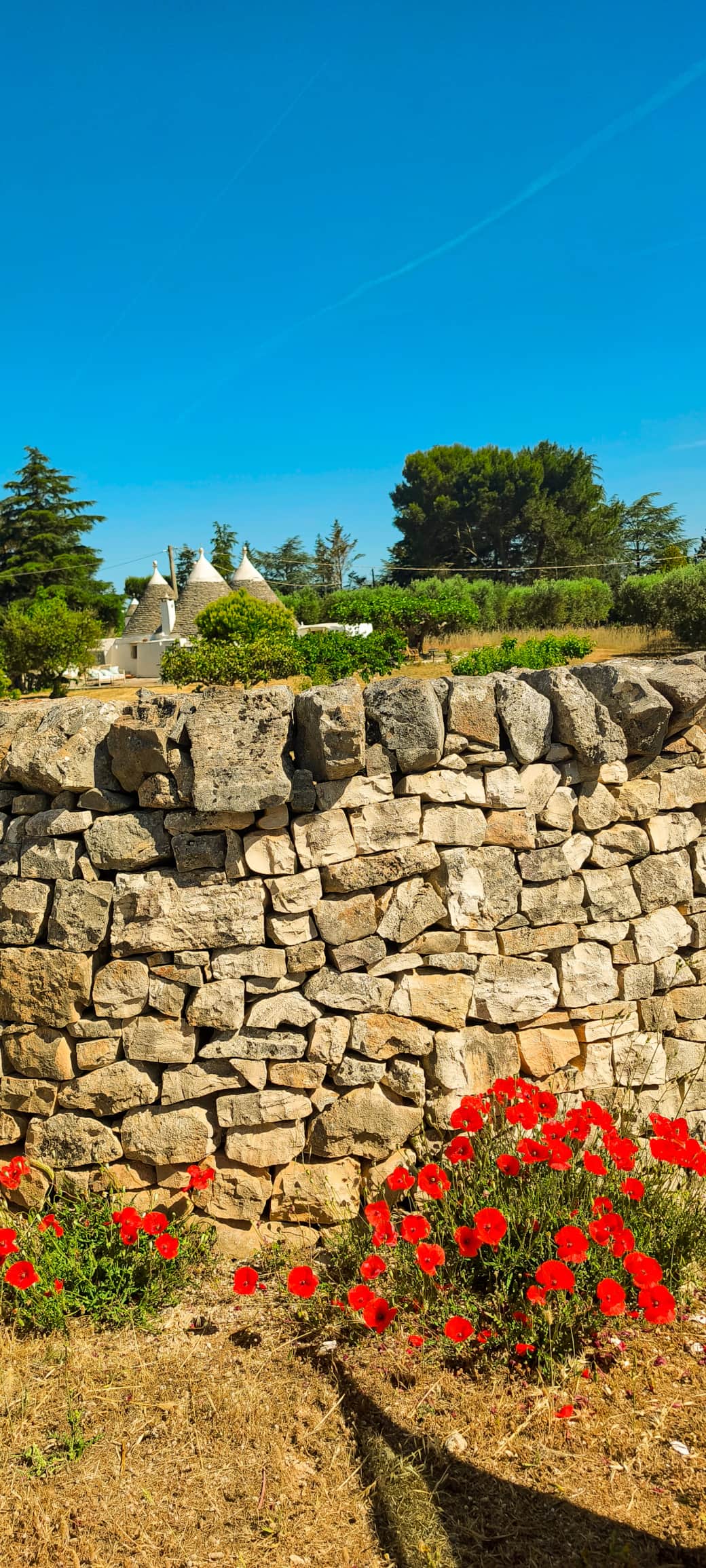 Blick auf den Trullo über die Steinmauer