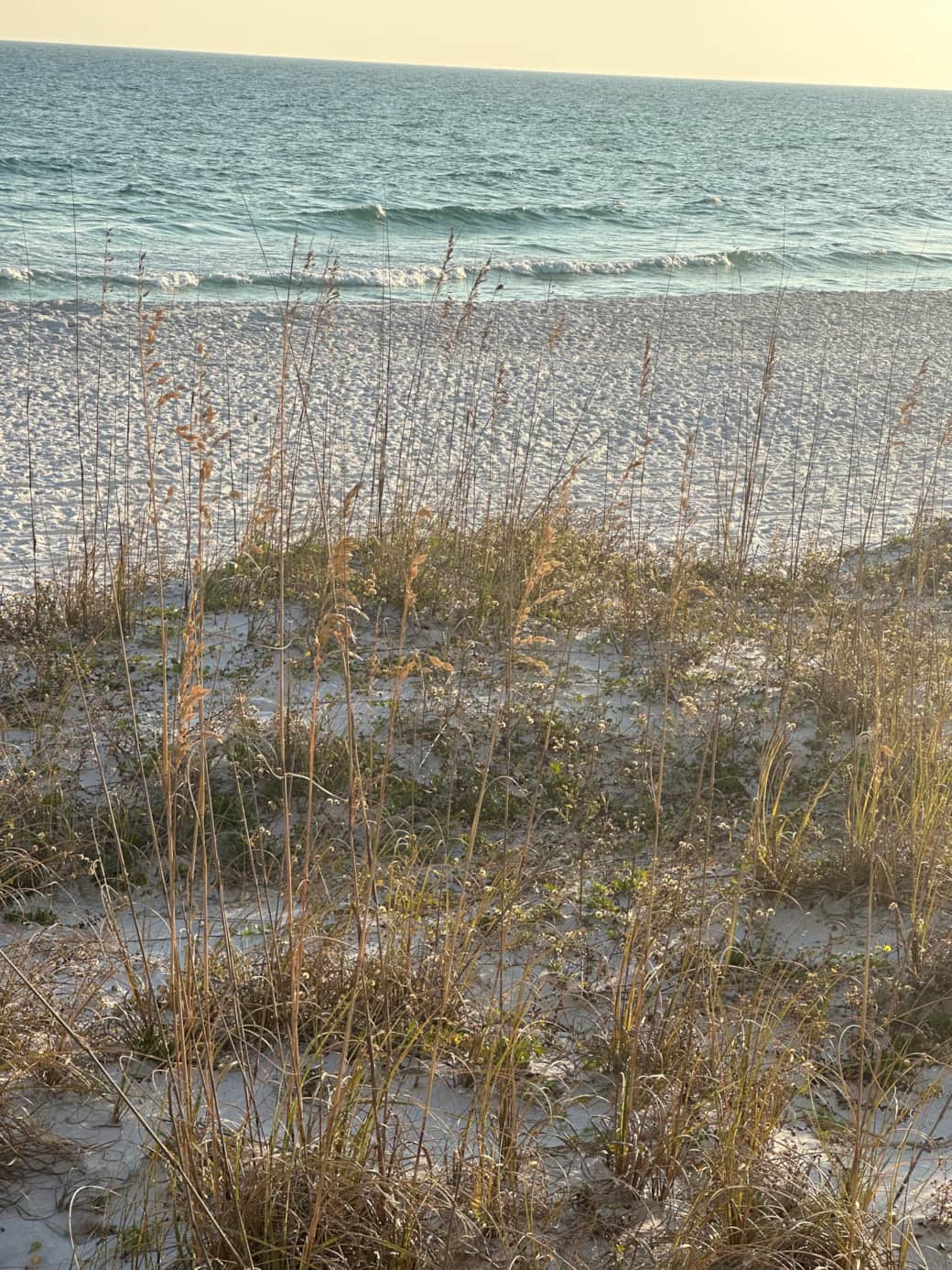 IMG 7244